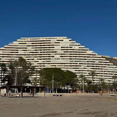Apartment Florazar Ii 5 2